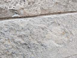 astables_1002950.jpg