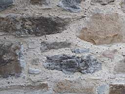 astables_1003270.jpg