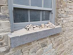 astables_1005300.jpg
