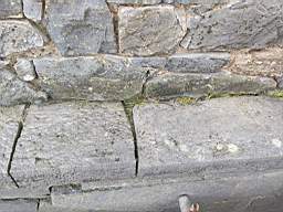 astables_1005650.jpg