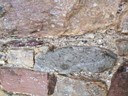 astables_1005730.jpg