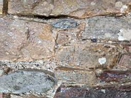 astables_1005770.jpg