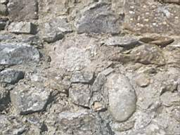 astables_1005950.jpg