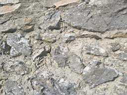 astables_1005980.jpg