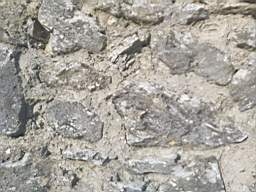 astables_1005990.jpg