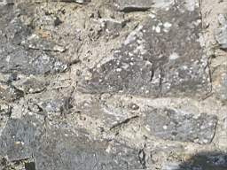 astables_1006000.jpg