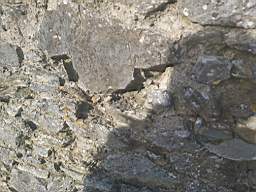 astables_1006010.jpg