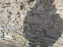 astables_1006020.jpg