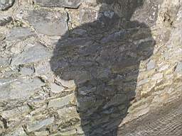 astables_1006040.jpg