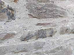 astables_1102080.jpg