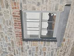 astables_1102310.jpg