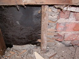 clarmont-1661.JPG