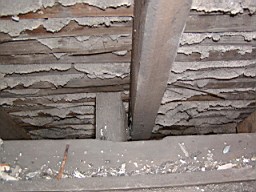 clarmont-1694.JPG