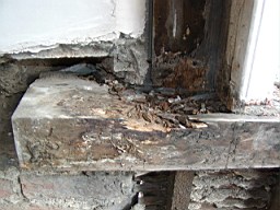clarmont-1700.JPG