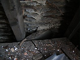 clarmont-1703.JPG