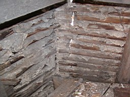 clarmont-1718.JPG