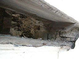 clarmont-1736.JPG
