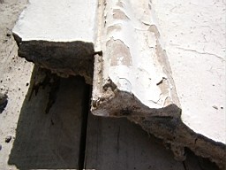 clarmont-1778.JPG