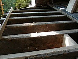 clarmont-1916.JPG