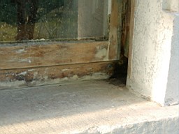 clarmont-2192.JPG