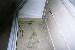 clarmont-3795.jpg