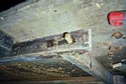 clarmont-8227.jpg