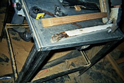 clarmont-8233.jpg