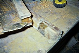 clarmont-8245.jpg