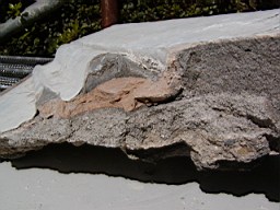 clarmont-8596.JPG
