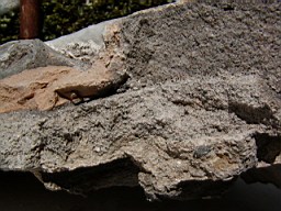 clarmont-8599.JPG