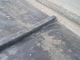 clarmont-8972.jpg