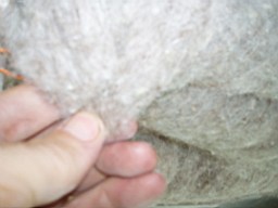 clarmont-9584.jpg