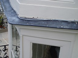 clarmont-9677.jpg