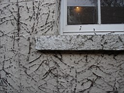 oakleyroad-2034.JPG