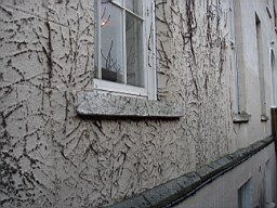 oakleyroad-2049.JPG