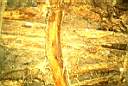 IM002539.jpg