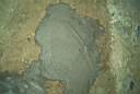 IM002869.jpg