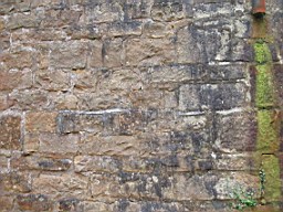 drumkeeran-1555.jpg