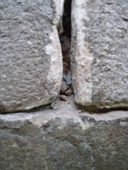 drumkeeran-1583.jpg