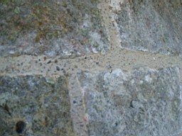 drumkeeran-2231.jpg