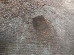 icehouse_10180.jpg