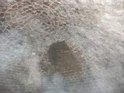 icehouse_10190.jpg