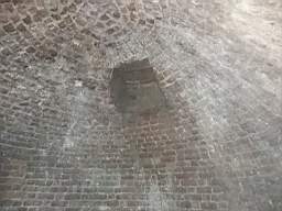 icehouse_10210.jpg