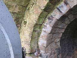 icehouse_10280.jpg