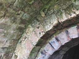 icehouse_10290.jpg