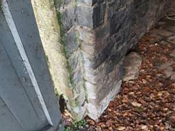 icehouse_10300.jpg