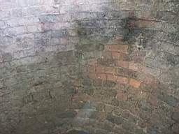 icehouse_10400.jpg