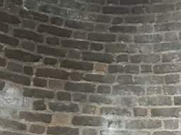 icehouse_10450.jpg