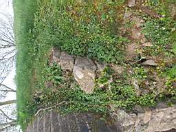 icehouse_106080.jpg
