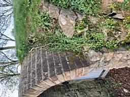 icehouse_106090.jpg